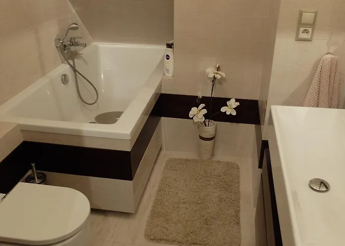 Parkowa Polana Apartment *